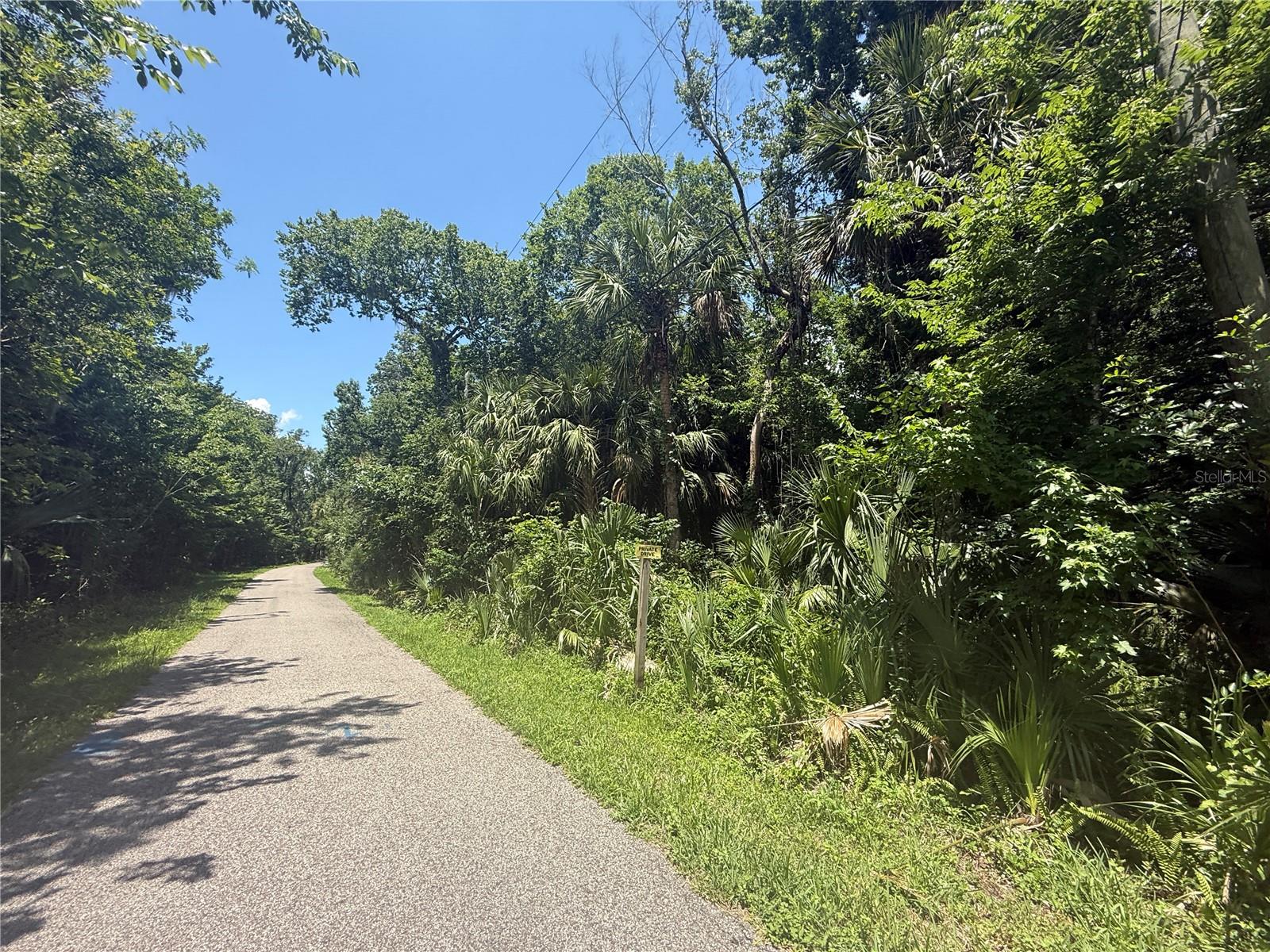 BLACK HAMMOCK - Land