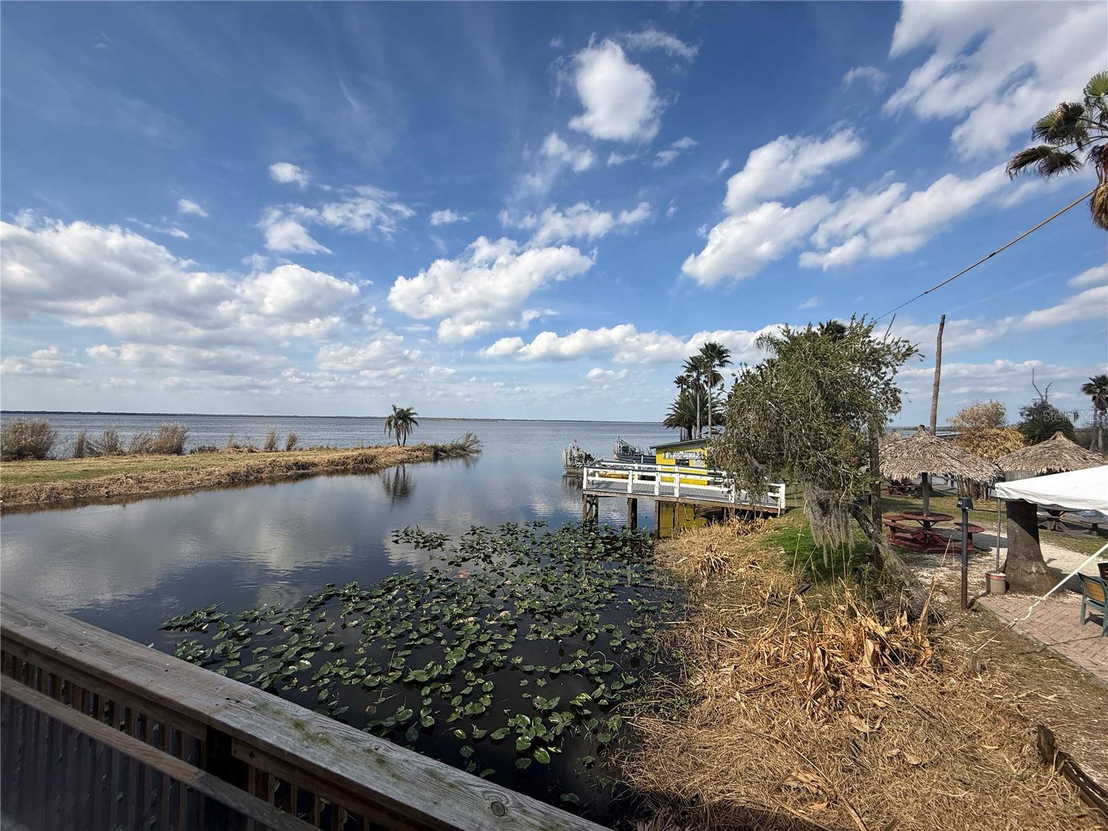 BLACK HAMMOCK - Land