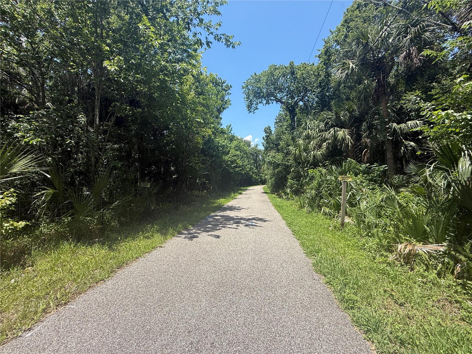 BLACK HAMMOCK - Land