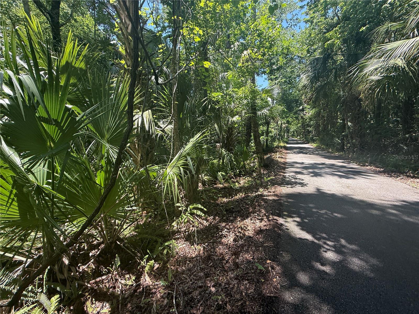 BLACK HAMMOCK - Land