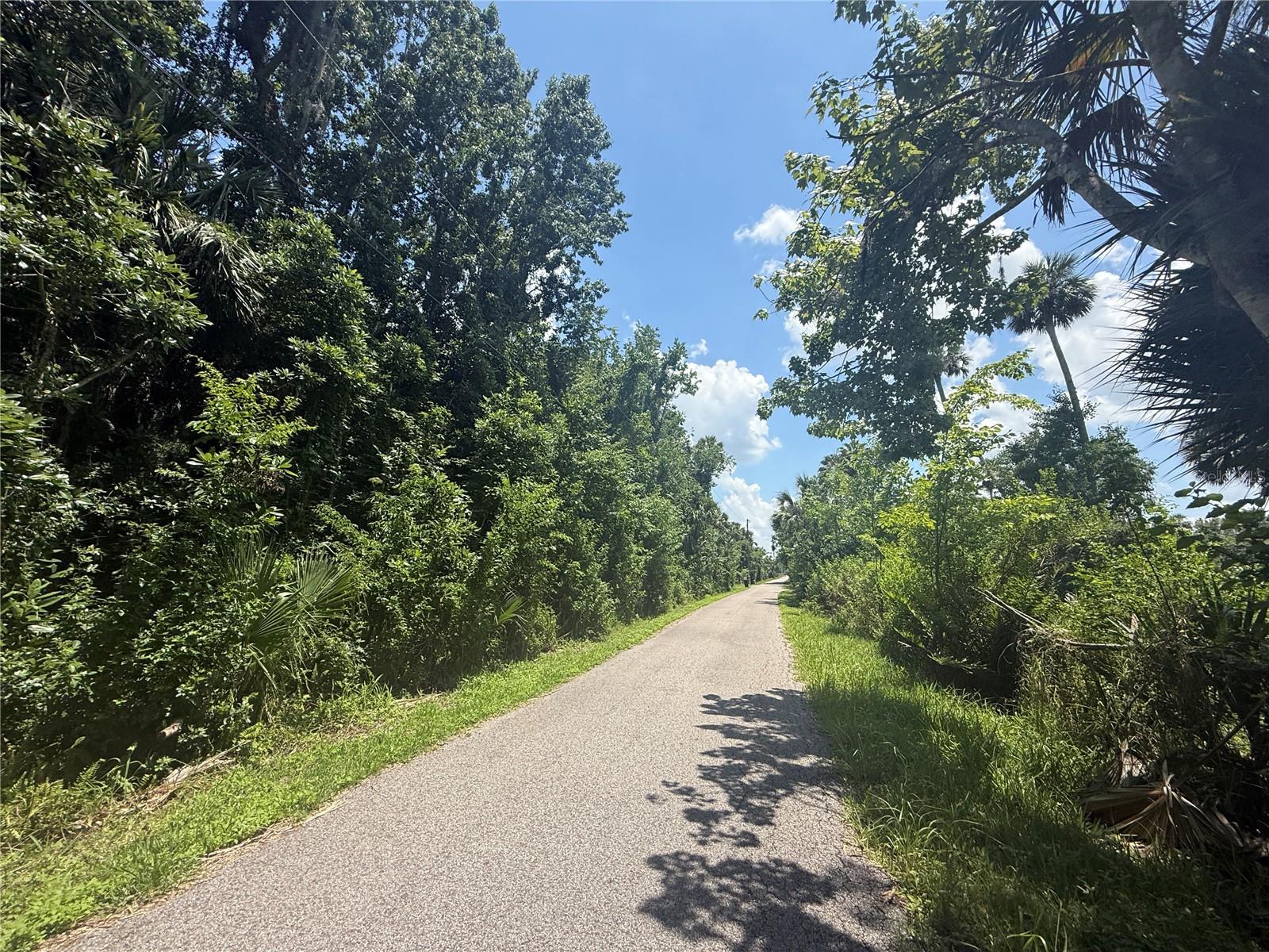 BLACK HAMMOCK - Land