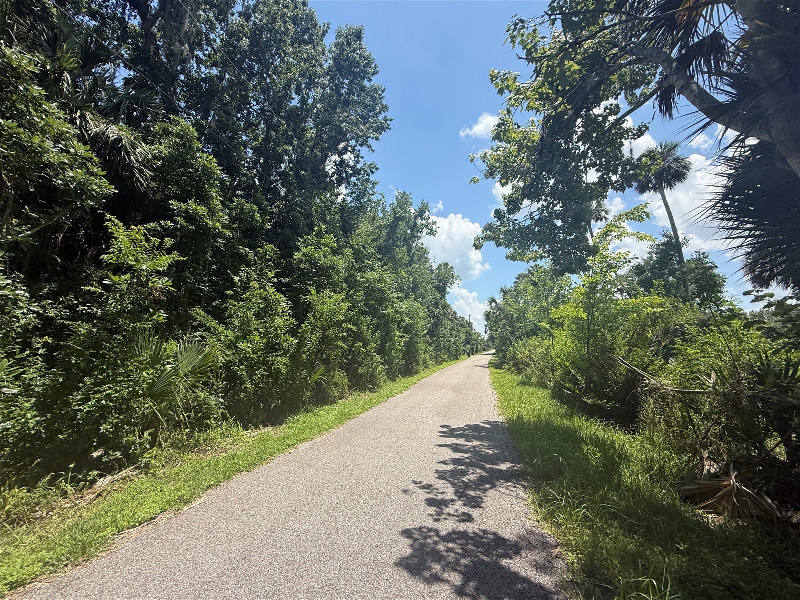 BLACK HAMMOCK - Land