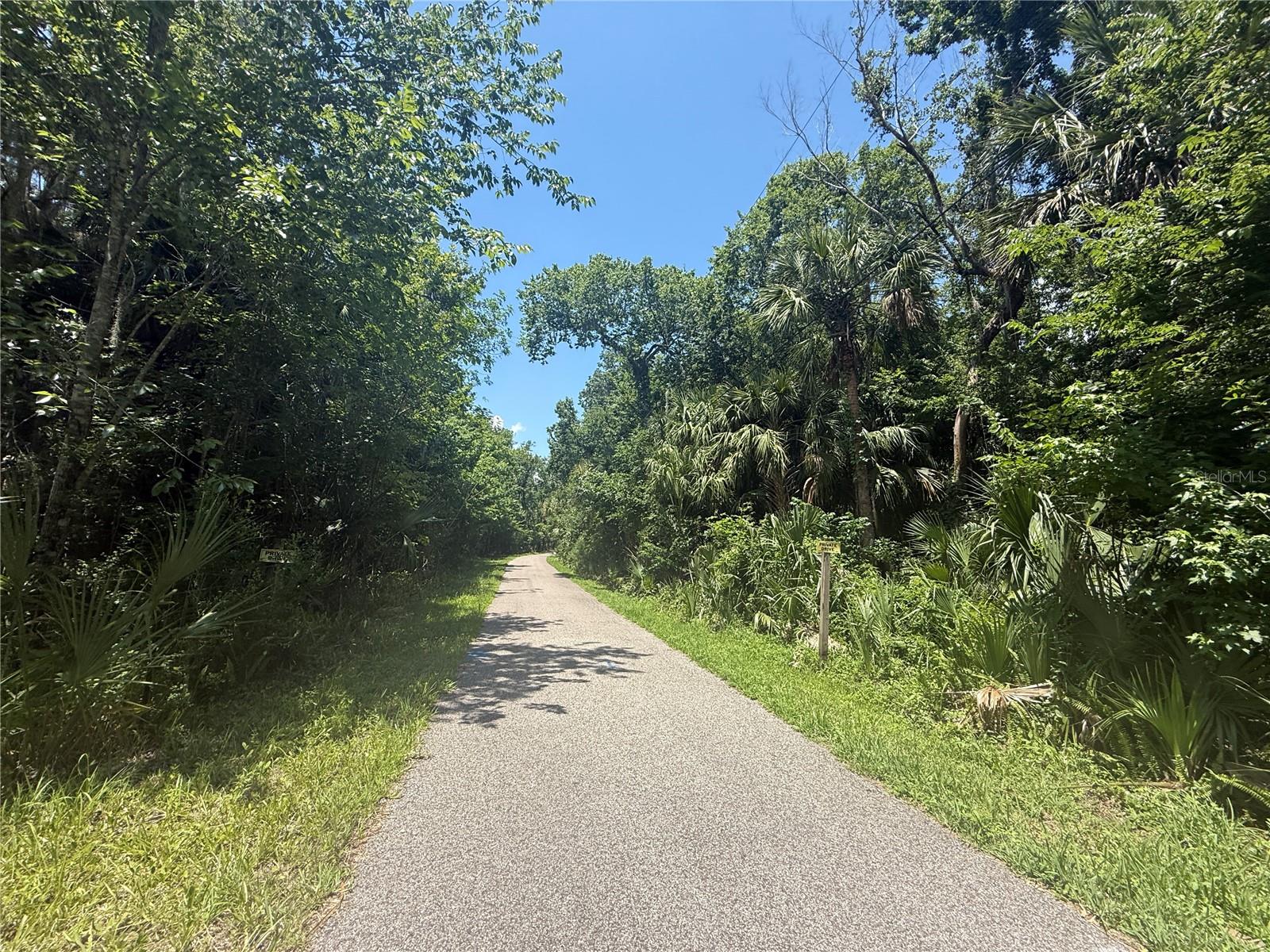 BLACK HAMMOCK - Land