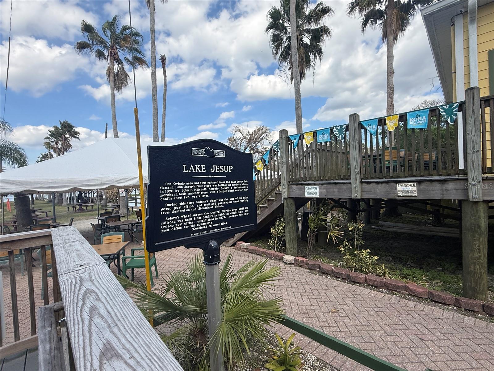 BLACK HAMMOCK - Land