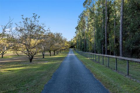 A home in ALACHUA