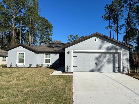 A home in PALM COAST