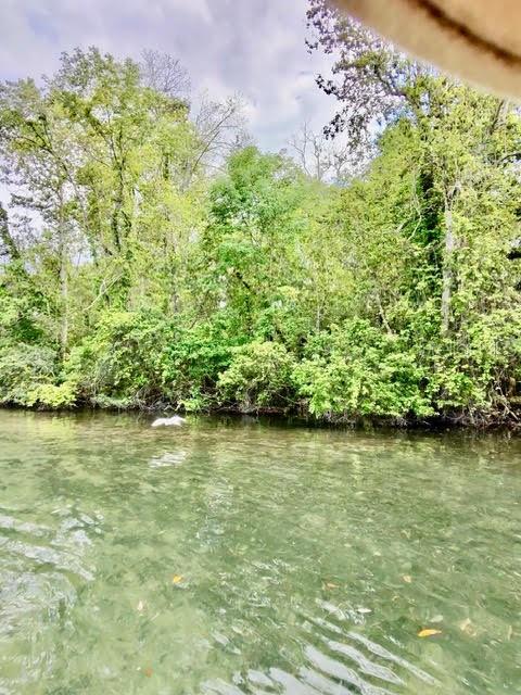 WEEKI WACHEE SHORES - Residential