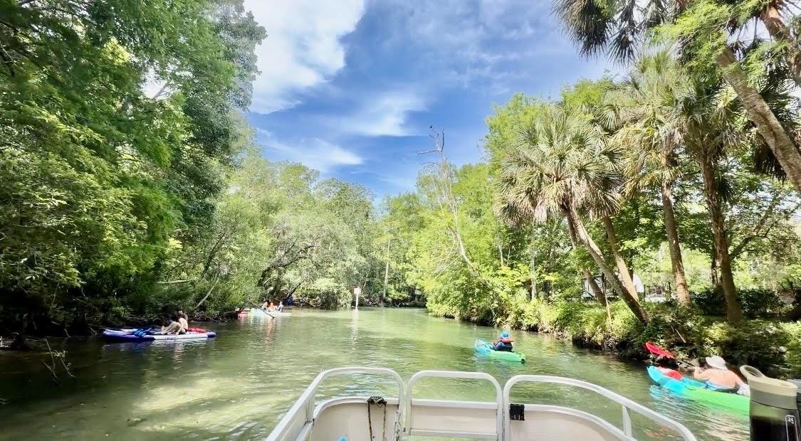 WEEKI WACHEE SHORES - Residential