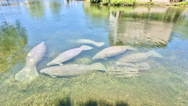 6448 W RICHARD DRIVE