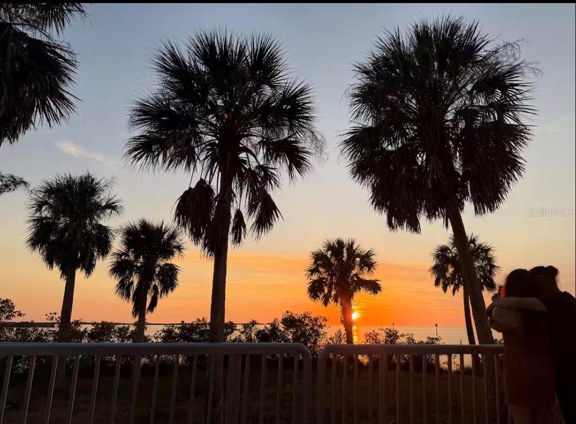 WEEKI WACHEE SHORES - Residential