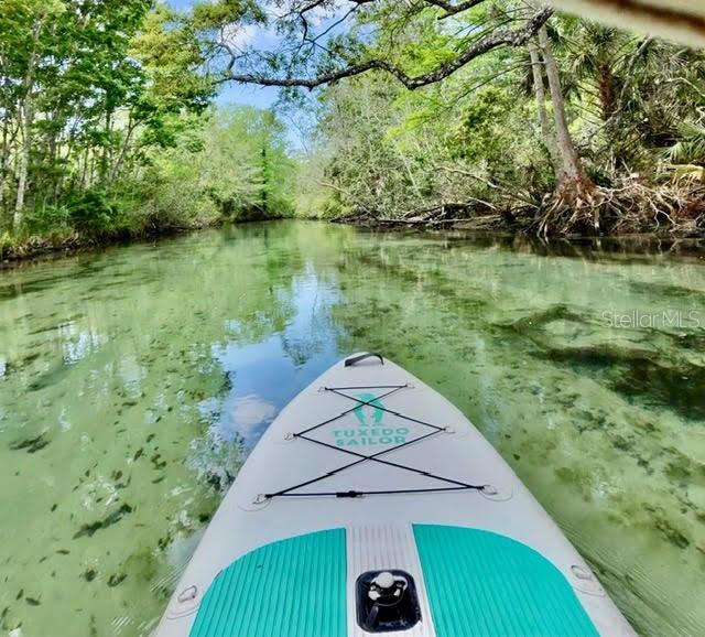 WEEKI WACHEE SHORES - Residential