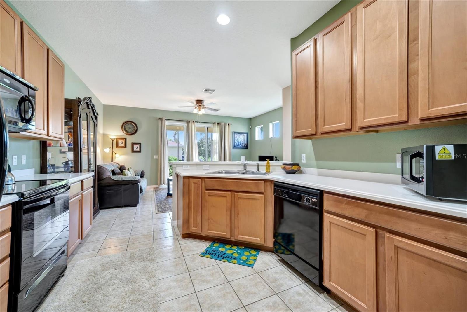 Photo 8 of 61 of 1258 JONAH DRIVE townhome