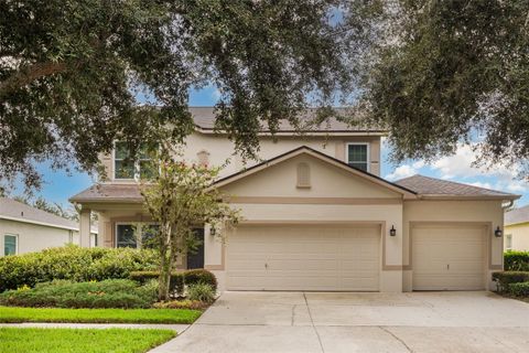 6308 BRIDGEVISTA DRIVE LITHIA FL 33547