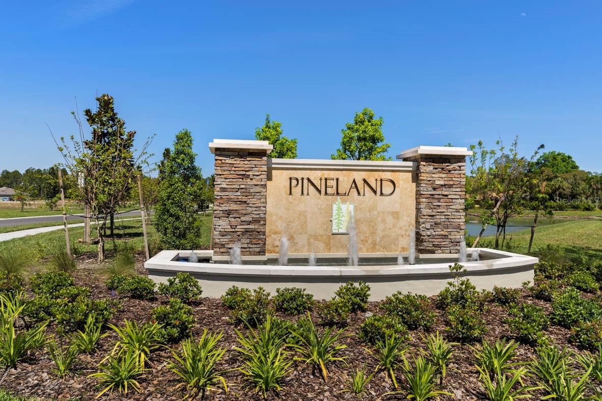 Pineland Prd Sub Ph 4 & 5 - Residential