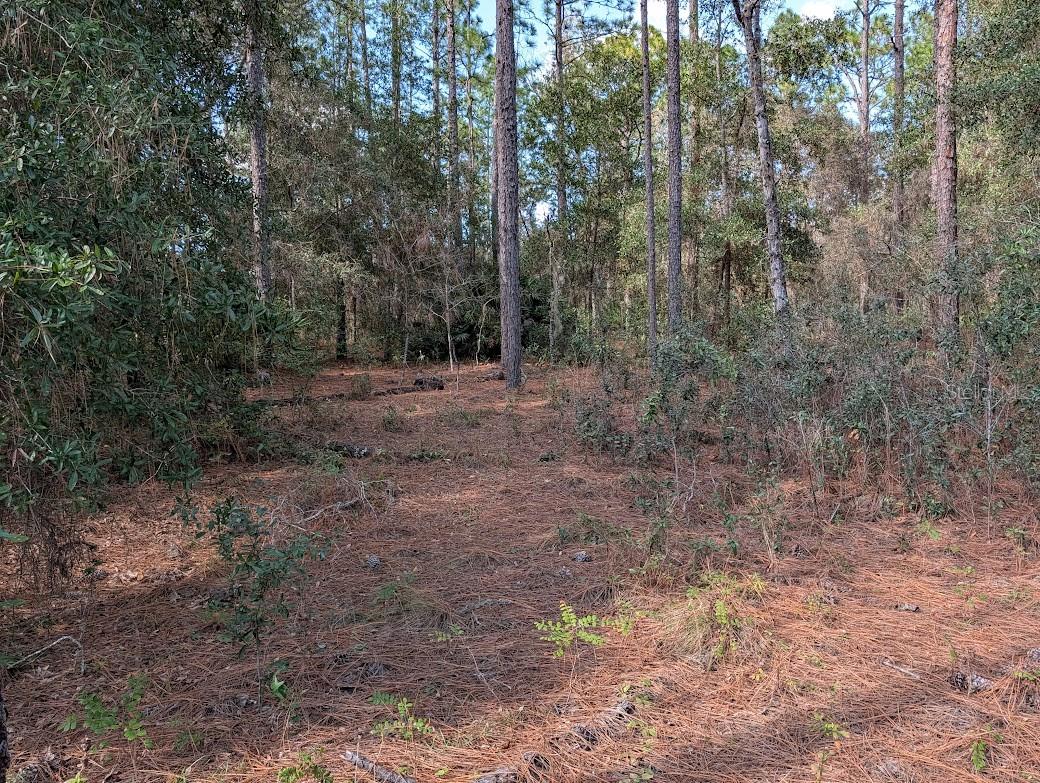 ROLLING HILLS - Land