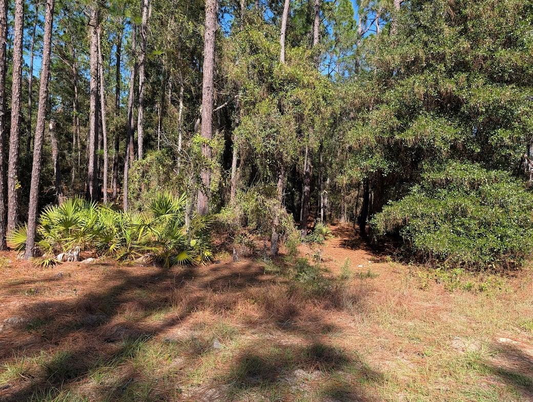 ROLLING HILLS - Land