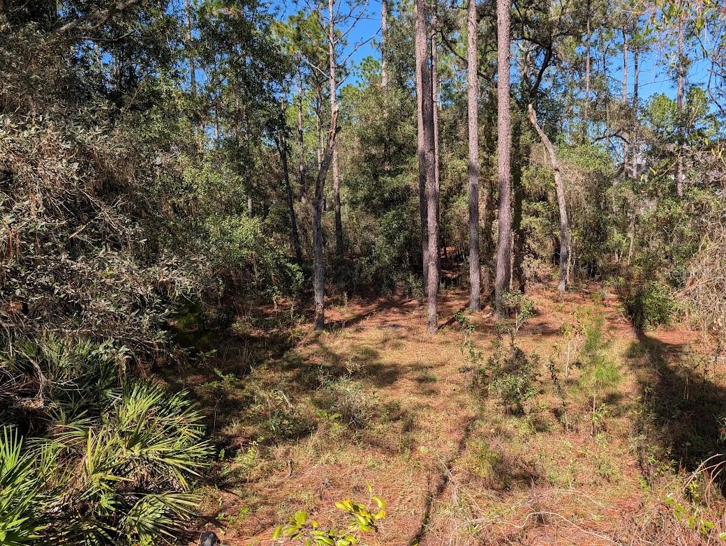 ROLLING HILLS - Land