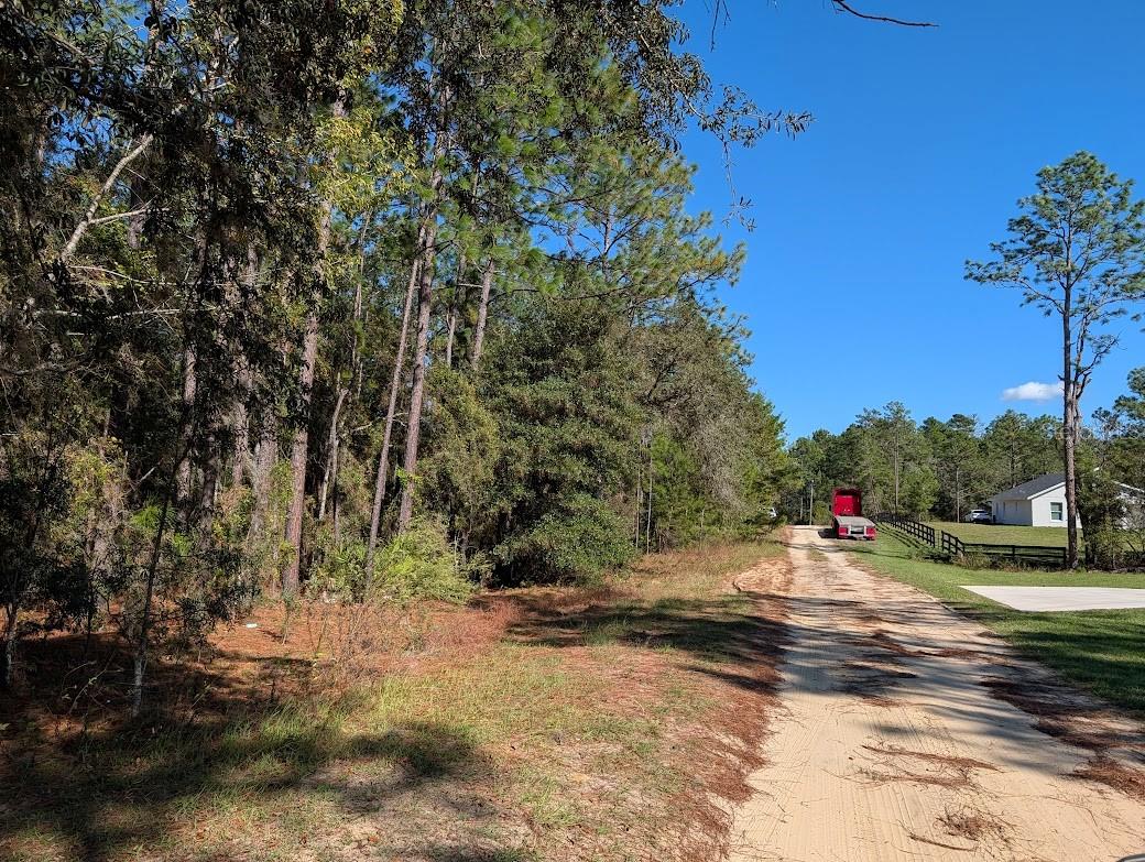 ROLLING HILLS - Land