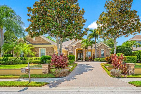 1227 TOSCANO DRIVE TRINITY FL 34655