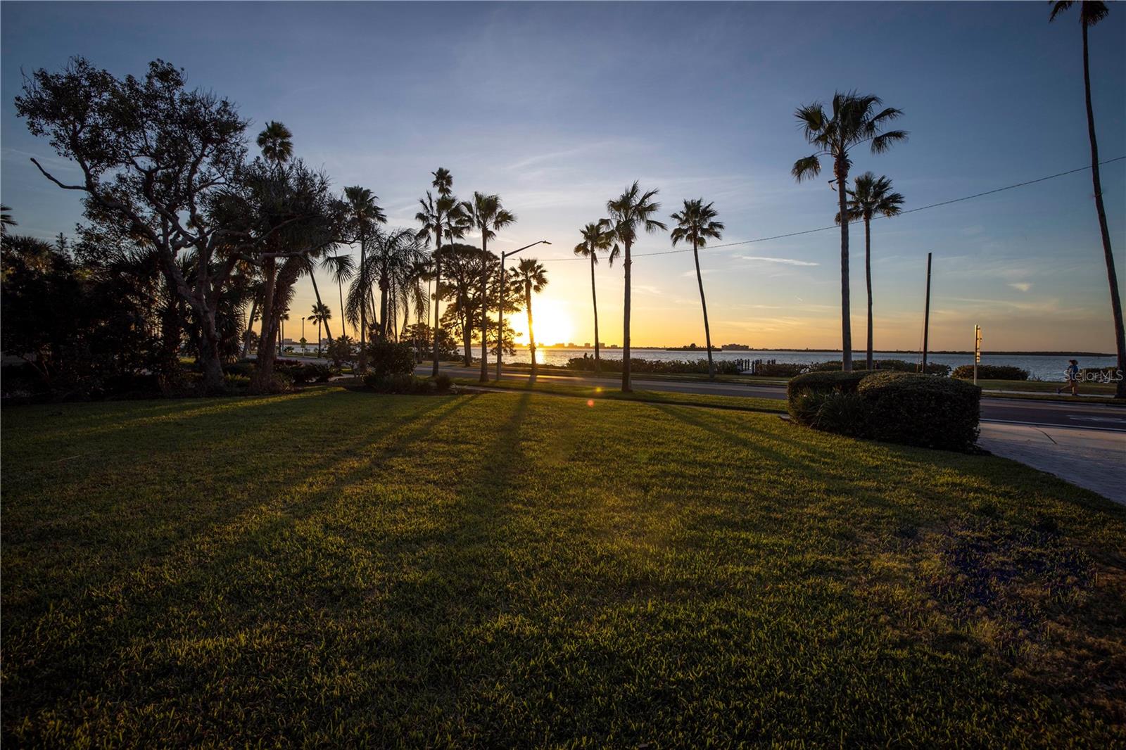 DUNEDIN - Residential