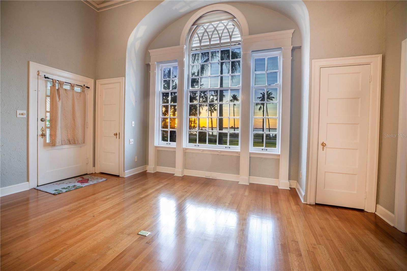 DUNEDIN - Residential