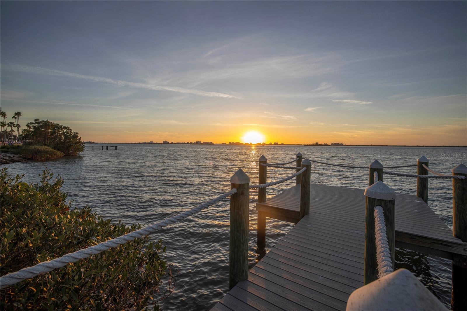 DUNEDIN - Residential