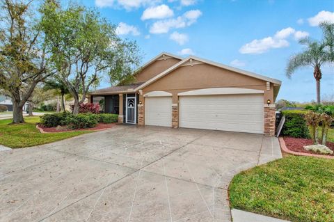 A home in PARRISH