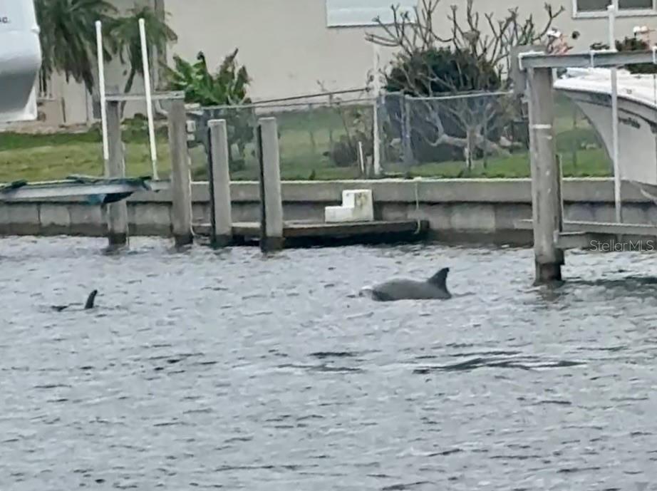 PUNTA GORDA ISLES SEC 05 - Residential