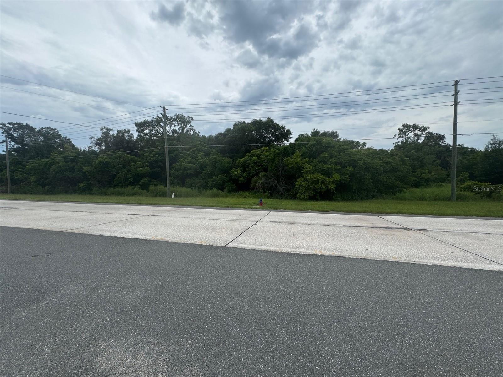 I'm pleased to present an exceptional opportunity in the thriving Orange County market, specifically in the sought-after Mount Dora area. This expansive 8.32-acre lot, formerly a nursery, is now zoned for residential development, making it ideal for builders looking to create custom or single-family homes. Located in the GAINES SUBDIVISION, the property combines tranquility with easy access to major roadways, ensuring convenient connectivity. Utilities are partially available on-site, facilitating a smoother development process for potential residential projects. Mount Dora is a rapidly growing community, known for its charming character and vibrant culture, adding further appeal for future homeowners. Feel Free to connect with me for more details