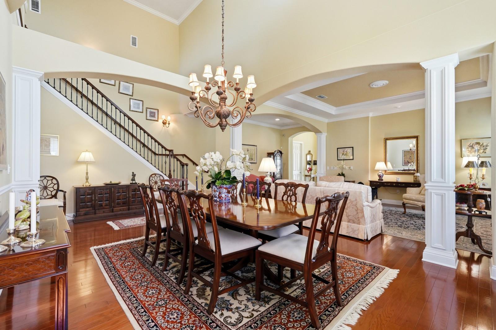 OCEAN HAMMOCK - Residential