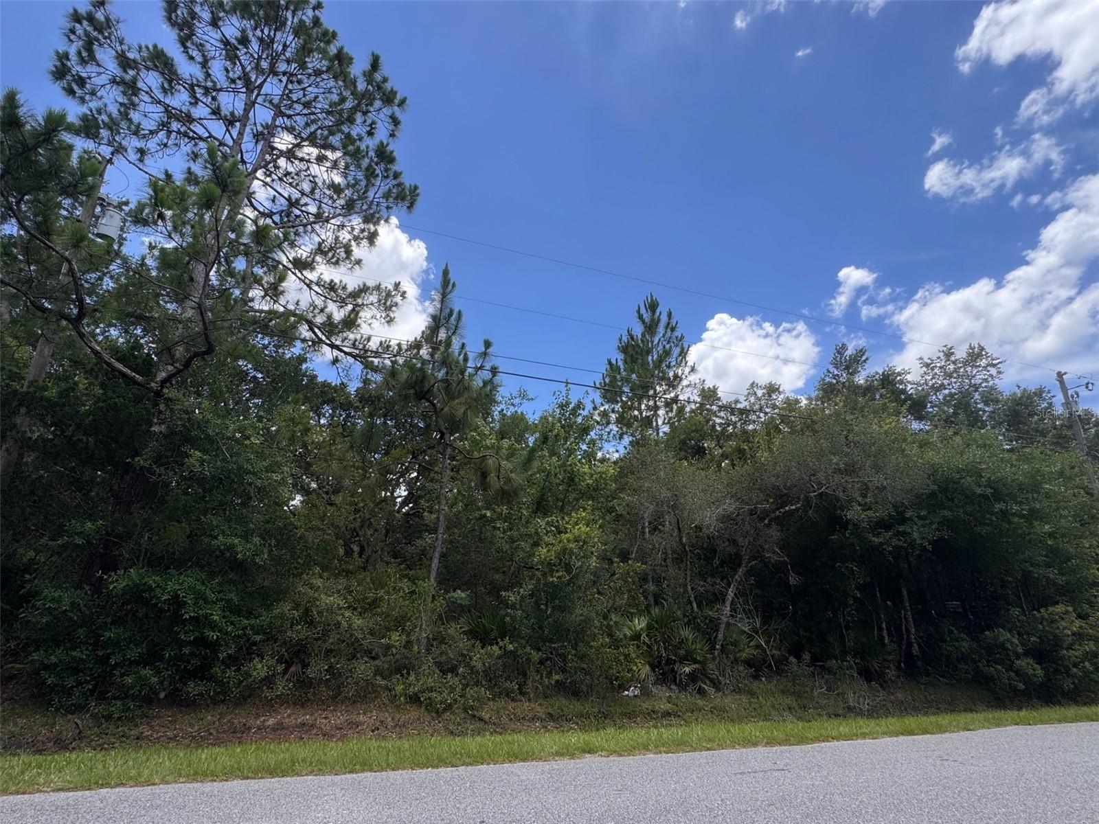 Prime Residential Opportunity in East Orlando! This 1.19 Acres of Land is 100 Ft Wide and 520 Feet Deep. Zoned R-T-2 which Allows for Mobile Homes, Modular Homes or Single-Family Home to be Developed in Privacy and Tranquility! Desirable Location~ 1 mile to Bithlo Park, Just 15 minutes from Waterford Lakes Town Center, 30 Minutes to Downtown Orlando and 40 Minutes to Cape Canaveral and Stunning Cocoa Beach. This will Provide Endless Options for Dining, Shopping and Florida FUN!! Seamless Commute via Colonial, 520, 528, I-95 and 417 within miles. Priced to Sell! Lot Next Door is Also for Sale!!