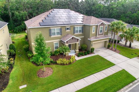 A home in WESLEY CHAPEL