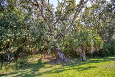 A home in WESLEY CHAPEL