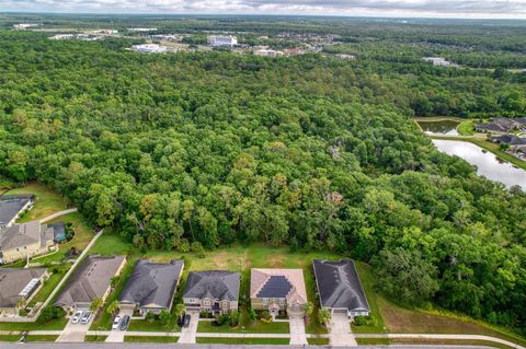 A home in WESLEY CHAPEL