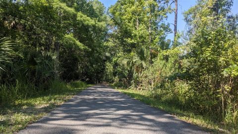 A home in WESLEY CHAPEL