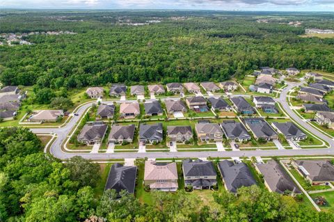 A home in WESLEY CHAPEL