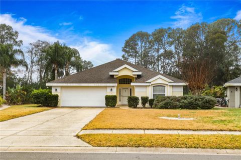 52 CORMORANT CIRCLE DAYTONA BEACH FL 32119