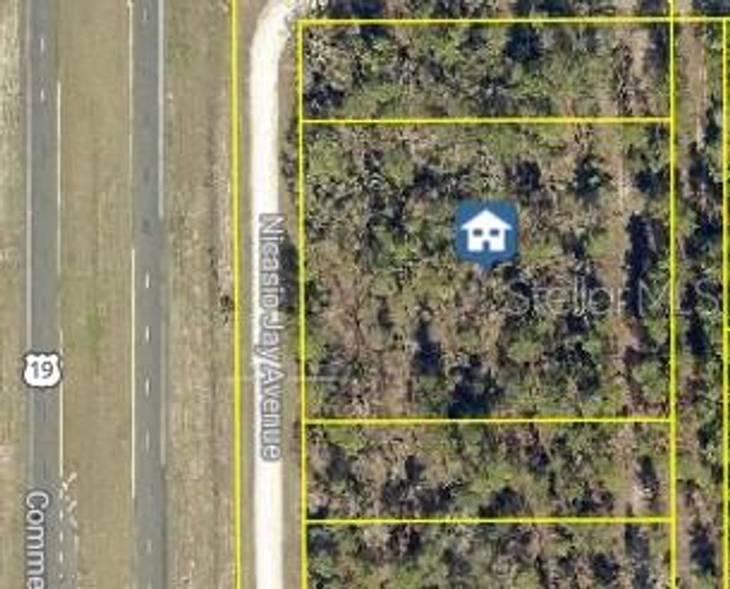 Photo of 17496 Nicasio Jay Avenue, Weeki Wachee, FL 34614 (MLS # W7883302)