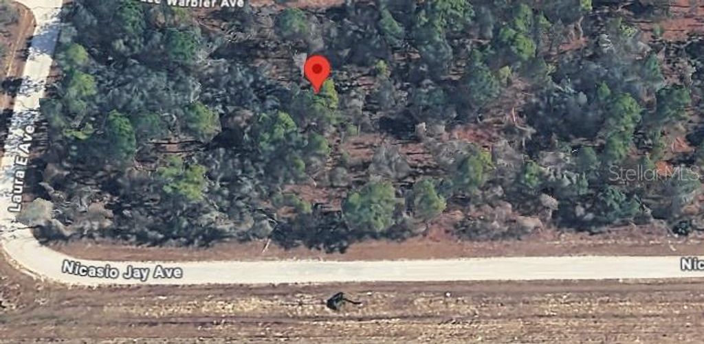 Photo of 17496 Nicasio Jay Avenue, Weeki Wachee, FL 34614 (MLS # W7883302)