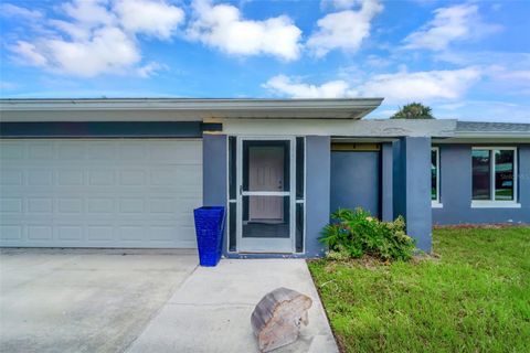 A home in PORT CHARLOTTE