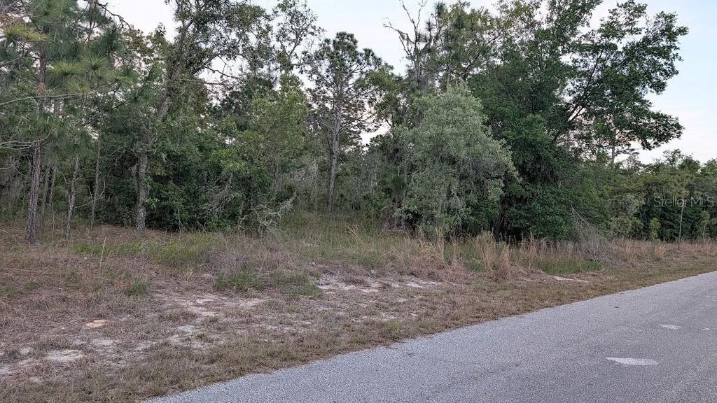 Photo of SW Half Moon Drive, Dunnellon, FL 34431 (MLS # OM725301)