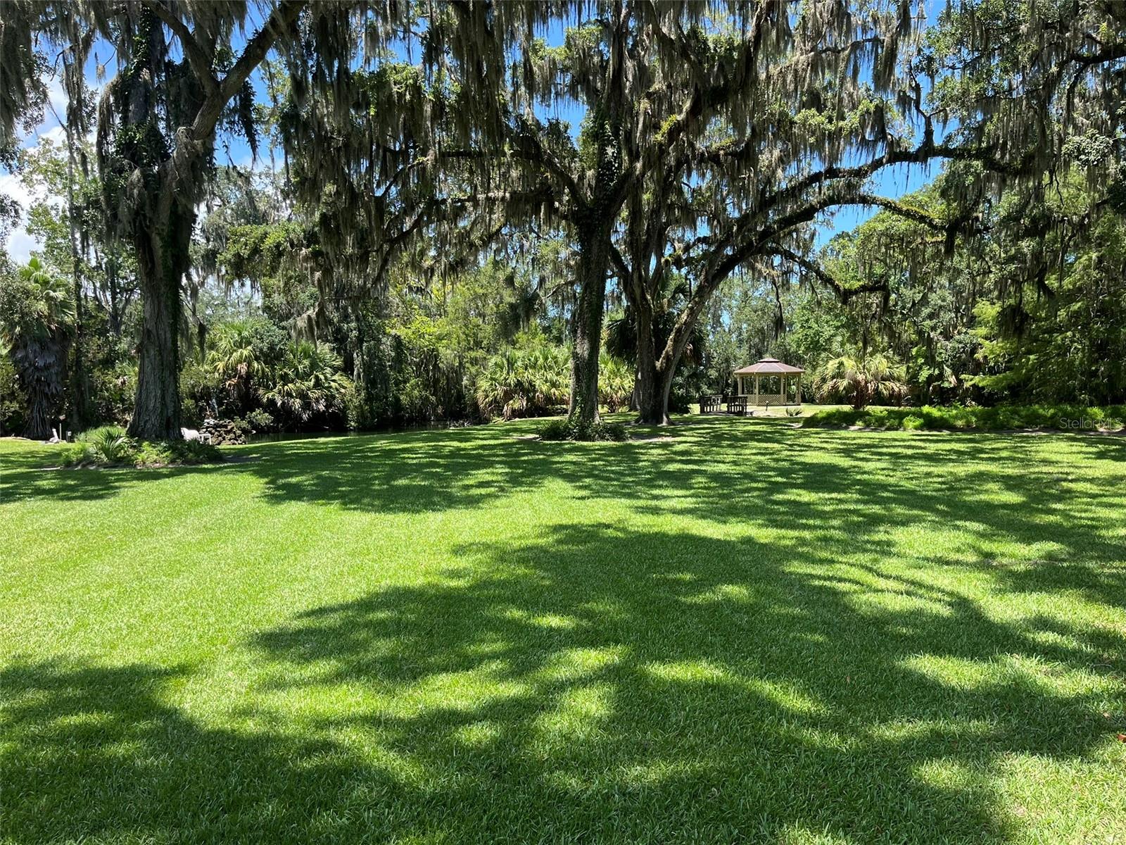 308 PALM COAST PARKWAY NE 203