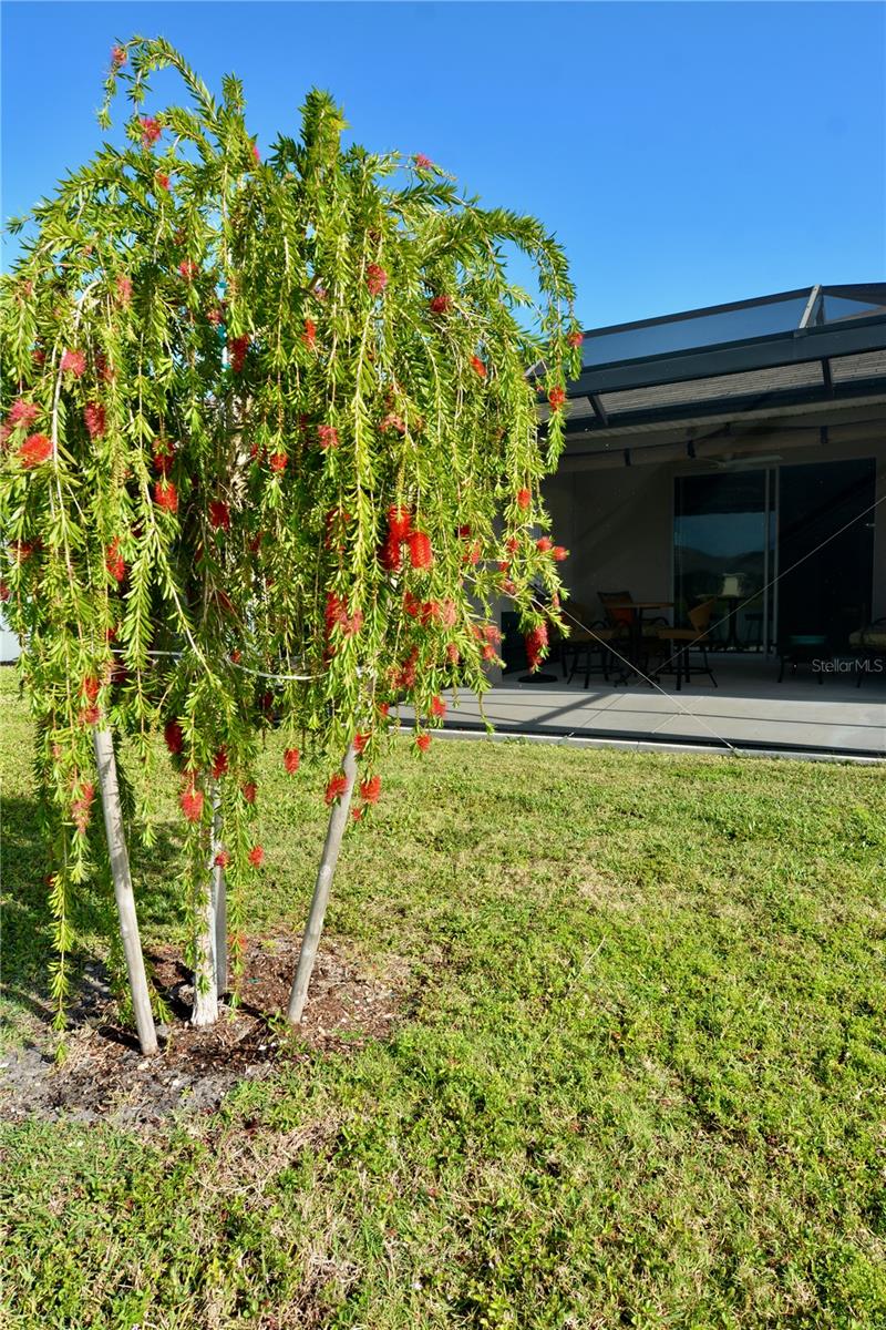 WATERFORD ESTATES - Residential