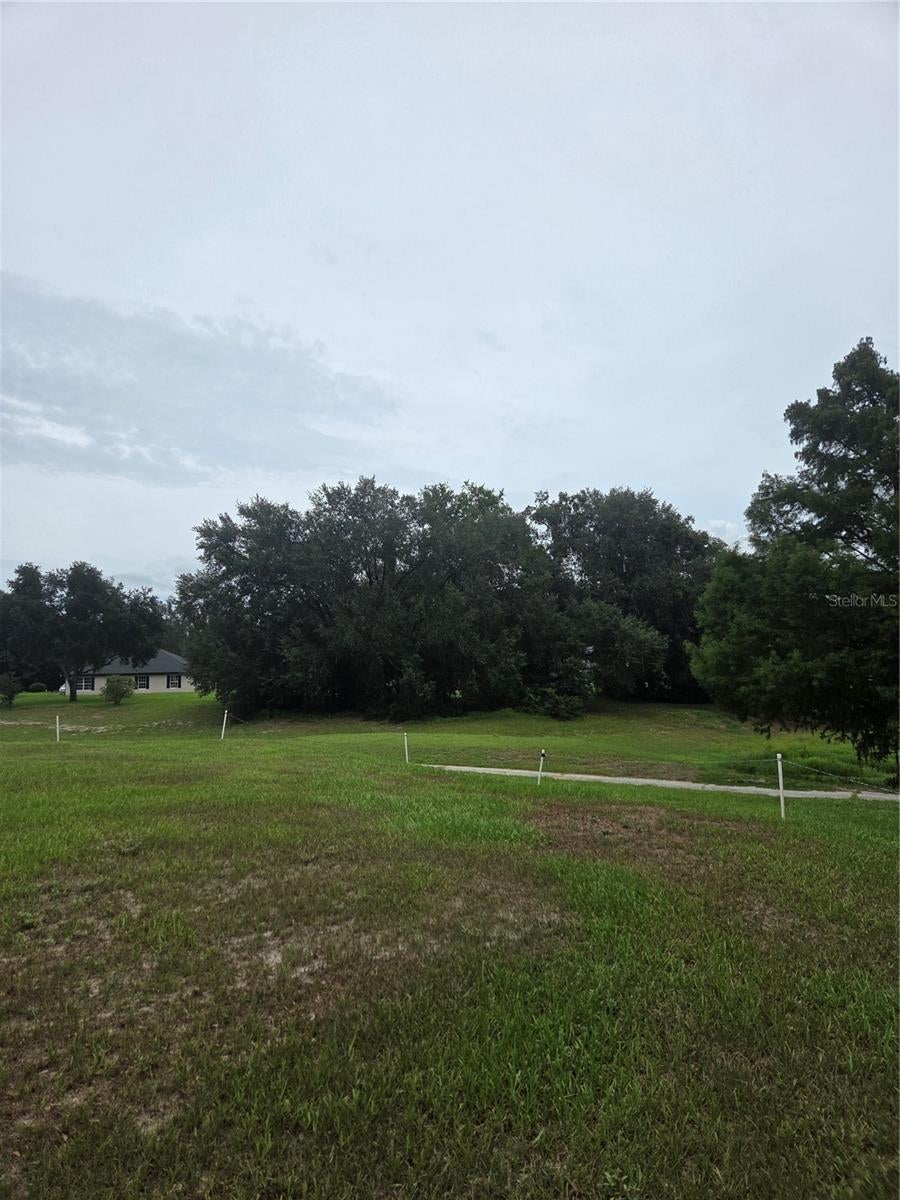 517 DOWLING CIRCLE