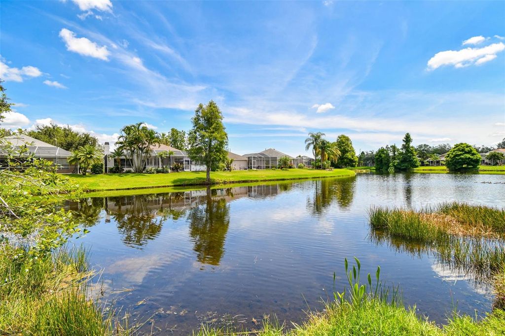 Photo of 10310 Millport Drive, Tampa, FL 33626 (MLS # TB8407401)