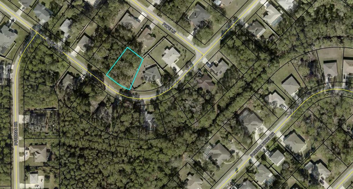 41 POPLAR DRIVE