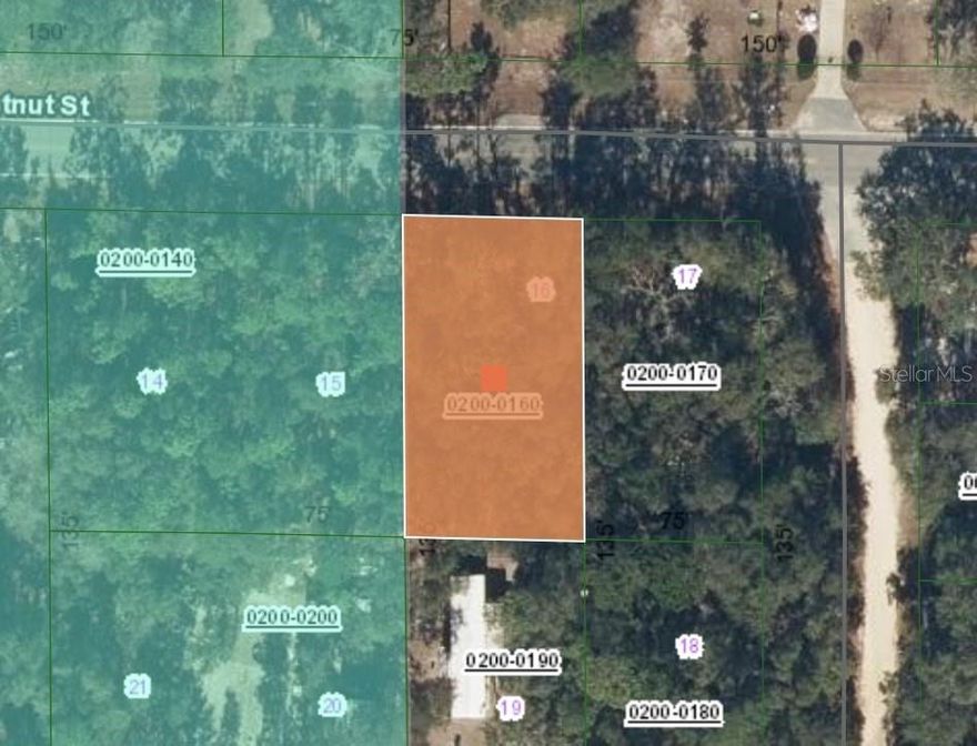 Discover the possibilities at 113 Chestnut in Interlachen, Putnam County, FL! This just-under-1/4 acre wooded lot sits on a paved road in a growing community with excellent long-term potential. With power connections nearby, it's an ideal location for your future plans—whether you're ready to build now, prefer to land bank, or want to hold for a future build.

Zoned residential, the property offers no build-time requirements, giving you maximum flexibility to create the lifestyle or investment strategy that fits your goals. All other improvements will be the responsibility of the buyer, allowing you to customize the property exactly the way you want.

Don’t miss this opportunity to secure a versatile piece of Florida land in a community on the rise!