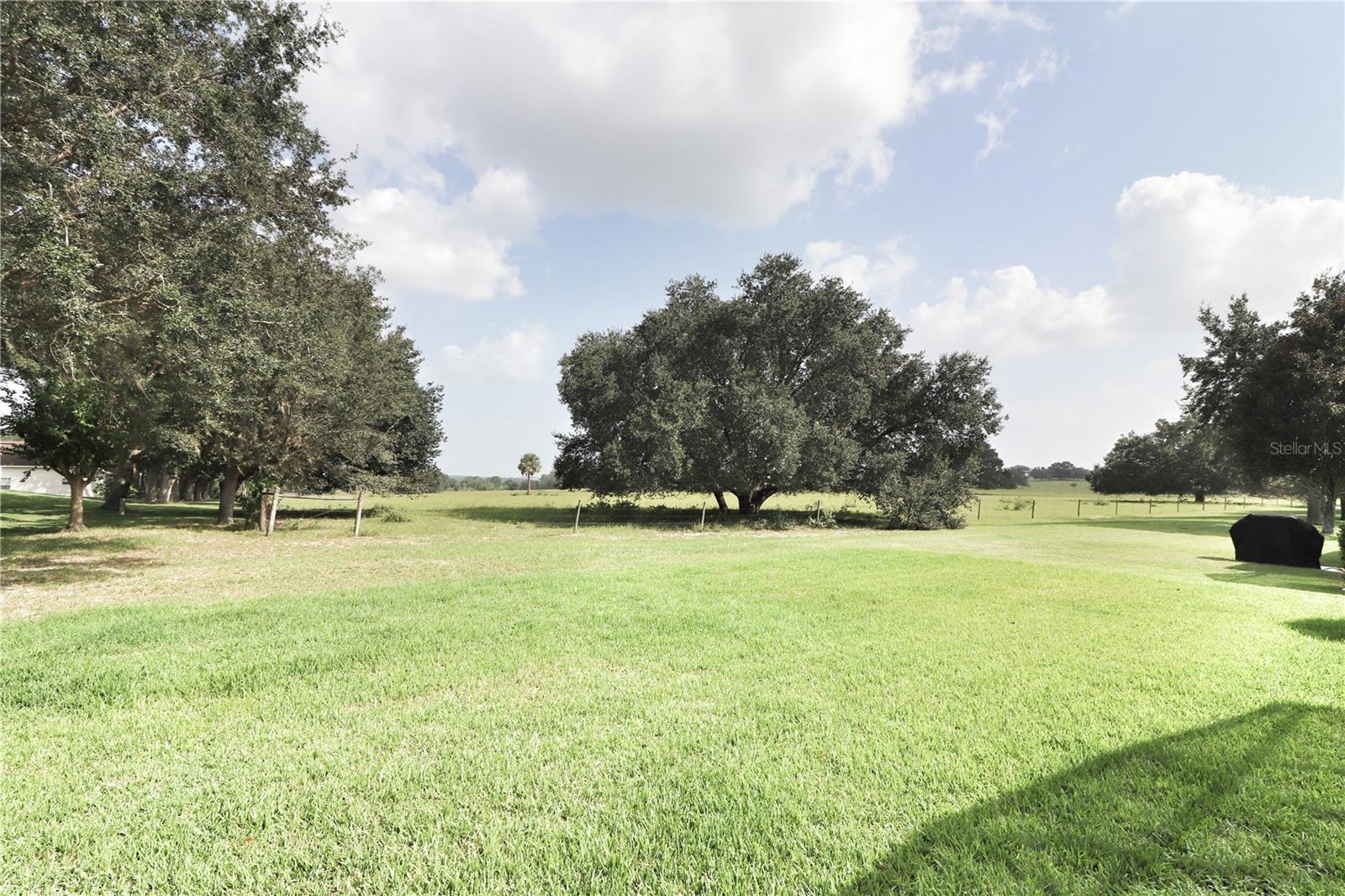 ROYAL HIGHLANDS PH 02-B LT 1317 PB 50 PG - Residential