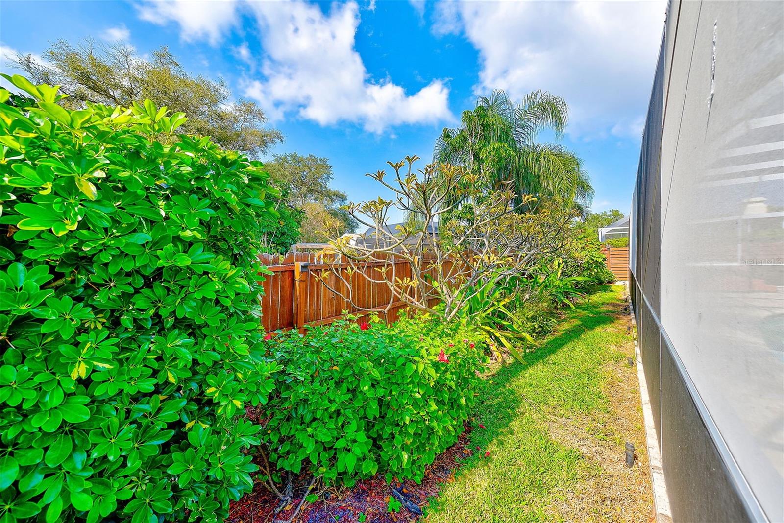 CANTERBURY CHASE - Residential