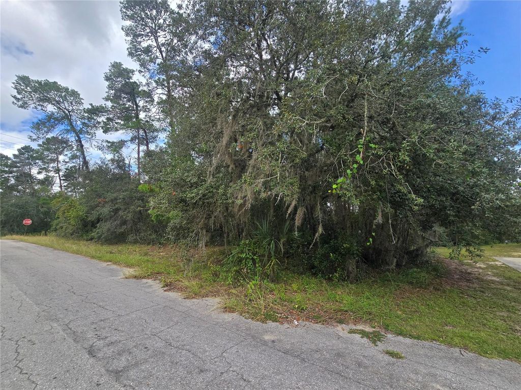 Photo of 3006 Clearwood Street, Inverness, FL 34452 (MLS # OM711241)